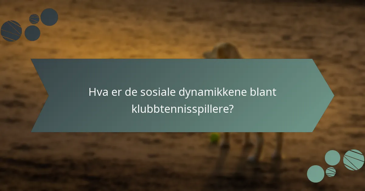 Hva er de sosiale dynamikkene blant klubbtennisspillere?