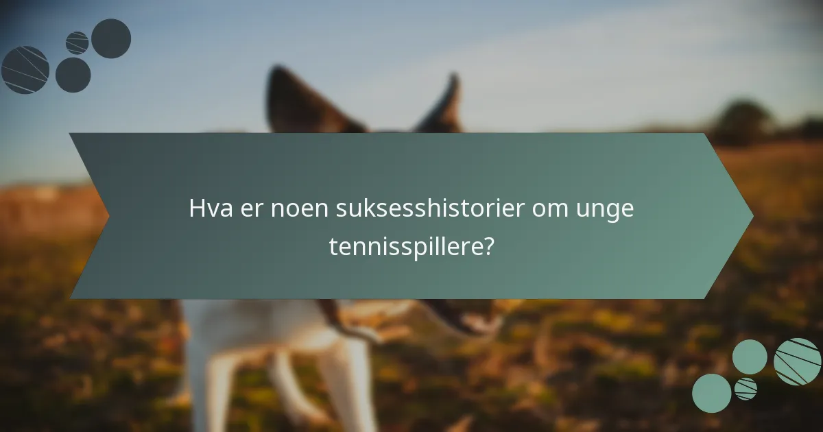 Hva er noen suksesshistorier om unge tennisspillere?