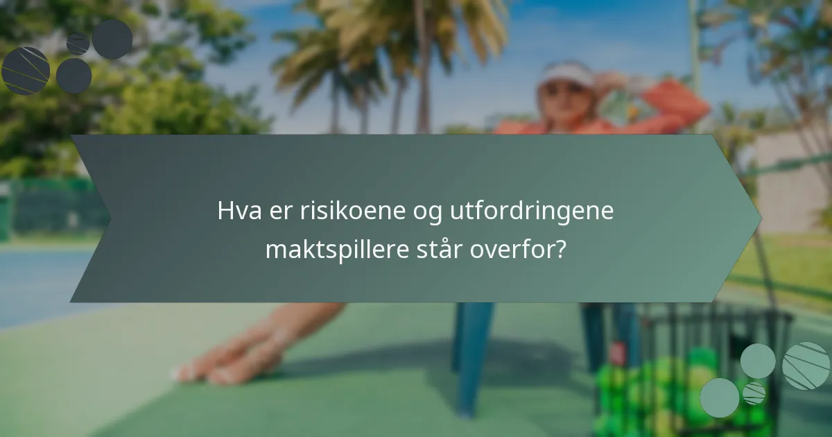 Hva er risikoene og utfordringene maktspillere står overfor?