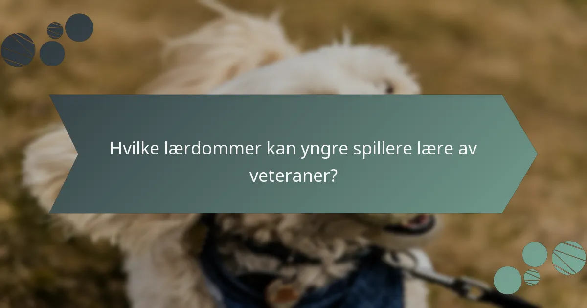 Hvilke lærdommer kan yngre spillere lære av veteraner?