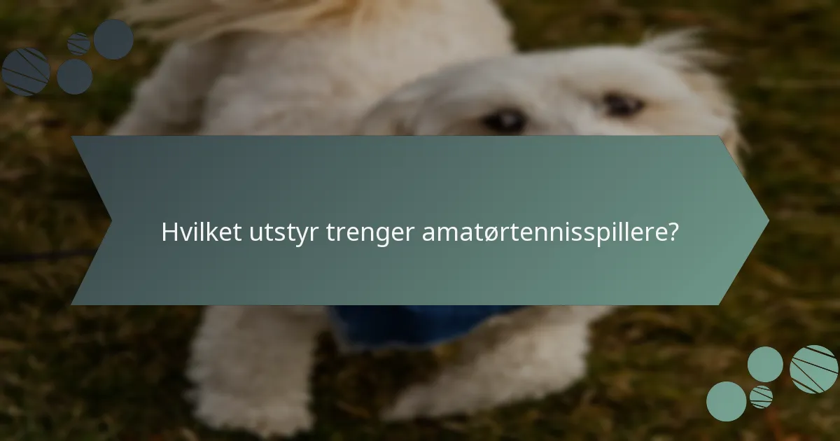 Hvilket utstyr trenger amatørtennisspillere?
