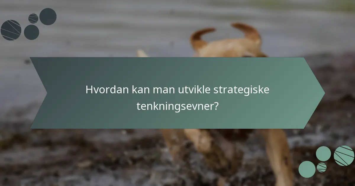Hvordan kan man utvikle strategiske tenkningsevner?
