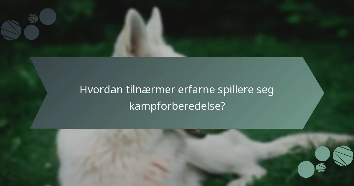 Hvordan tilnærmer erfarne spillere seg kampforberedelse?